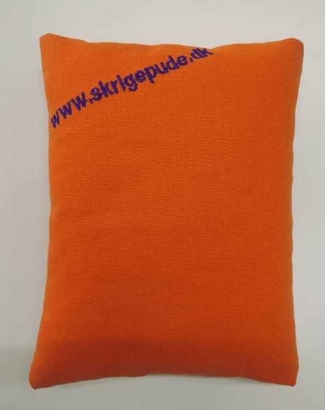 Skrigepude.Dk | Lars Mygind