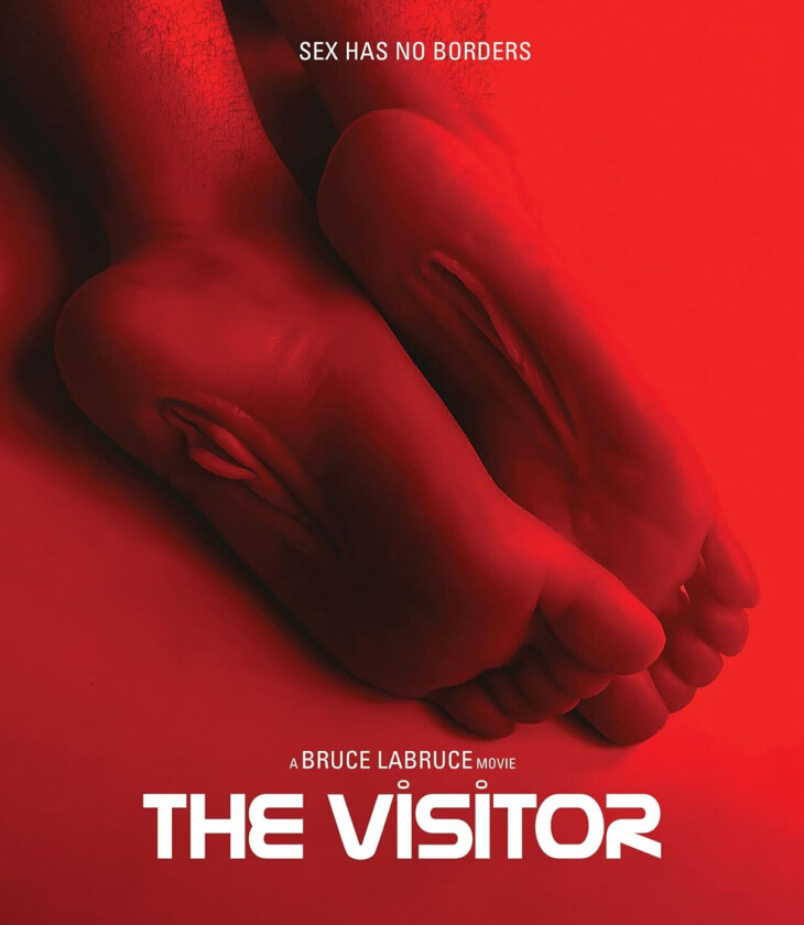 The Visitor (2024) Bluray