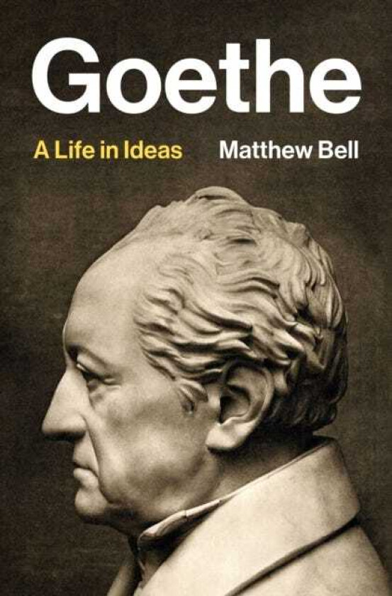 Goethe A Life in Ideas