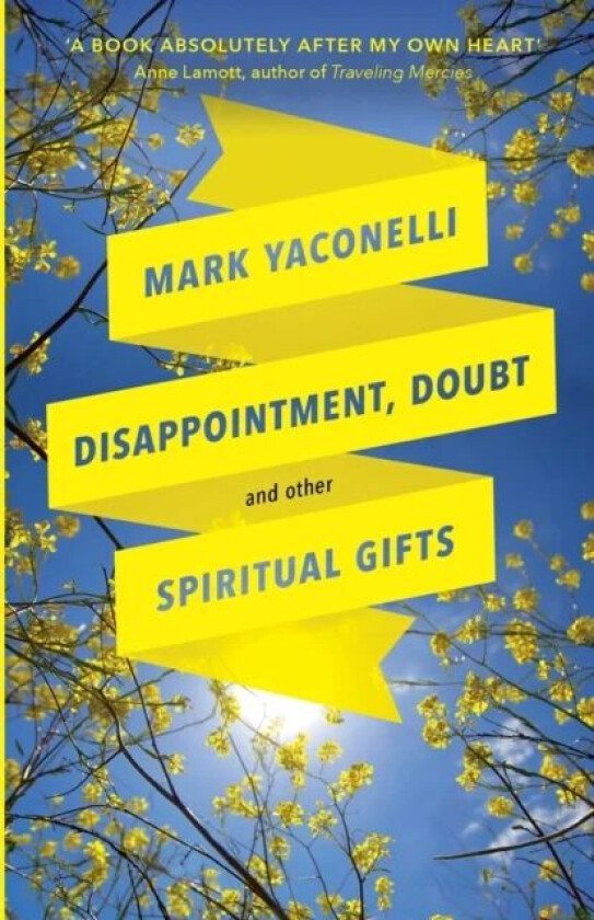 Disappointment, Doubt and Other Spiritual Gifts av Mark Yaconelli