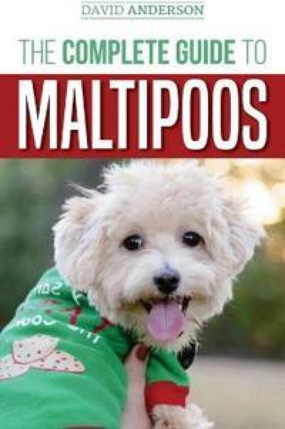 The Complete Guide to Maltipoos