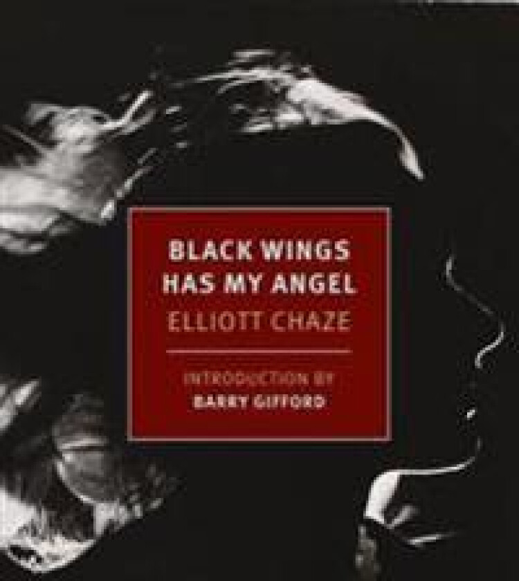Black Wings Has My Angel