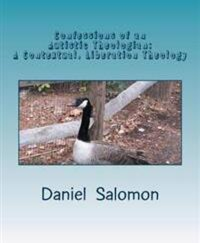 Confessions of an Autistic Theologian: Doing Theology in Pictures-A Contextual, Liberation Theology for Humans on the Autism Spectrum
