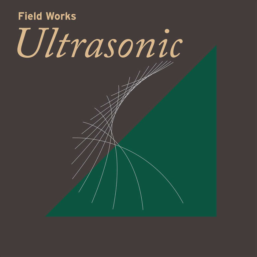 Diverse Artister Field Works: Ultrasonic LP/Vinyl