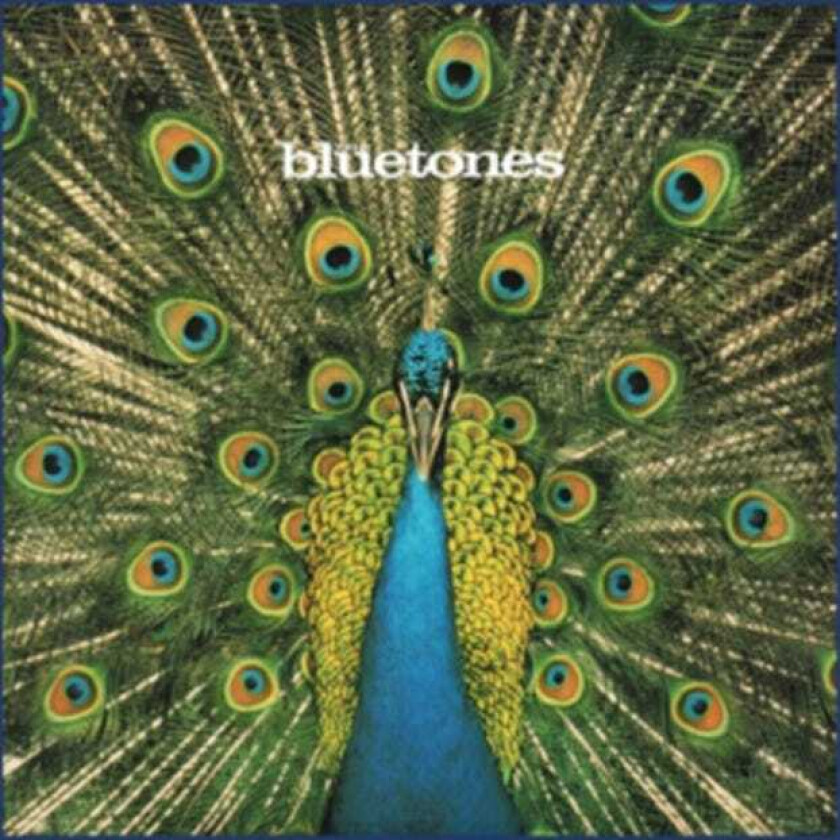 The Bluetones Expecting To Fly CD
