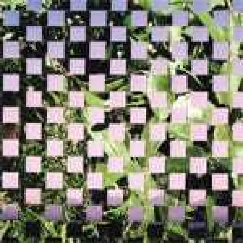 High Places, Soft Circle High Places / Soft Circle Spilt LP/Vinyl