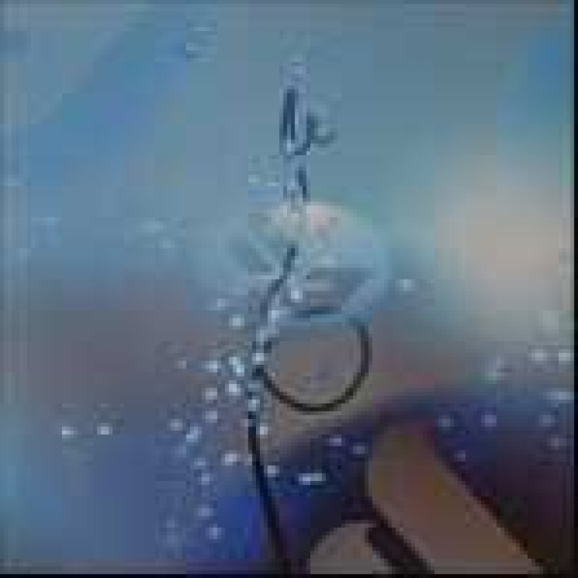 Björk Joga LP/Vinyl