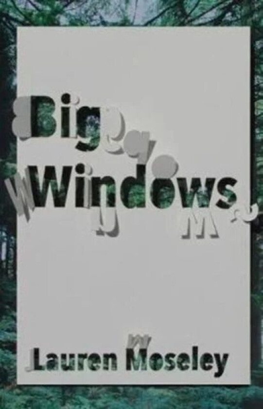 Big Windows av Lauren Moseley