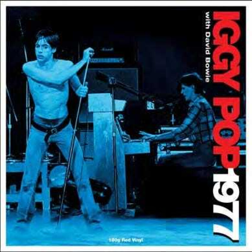Iggy Pop 1977 LP/Vinyl