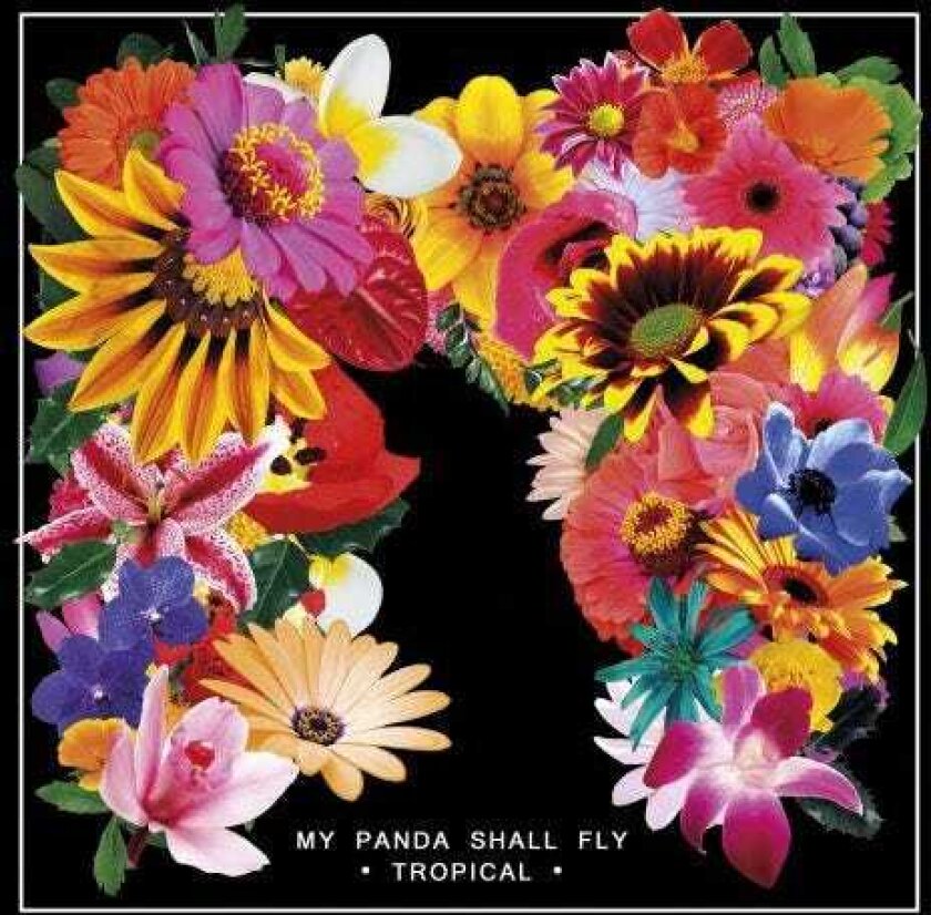 My Panda Shall Fly Tropical LP/Vinyl