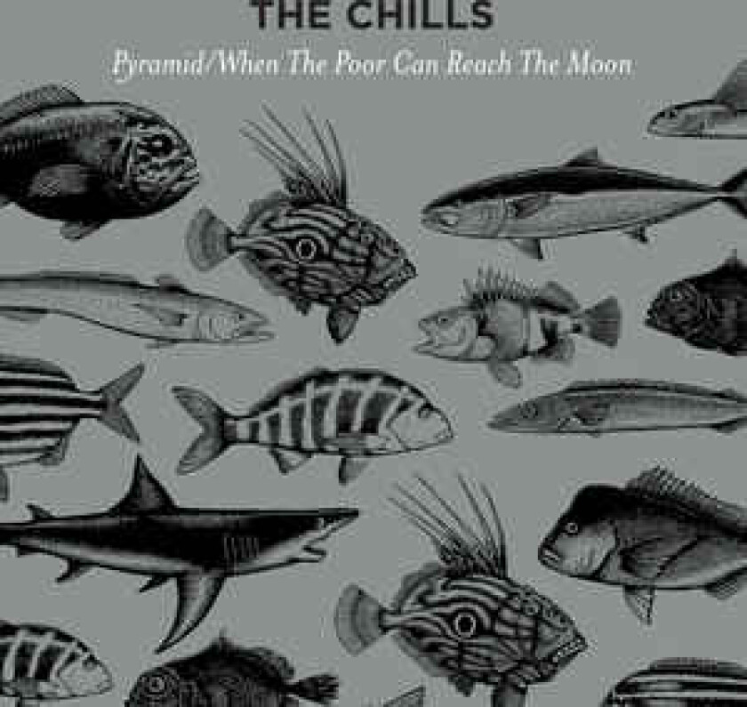 The Chills Pyramid LP/Vinyl