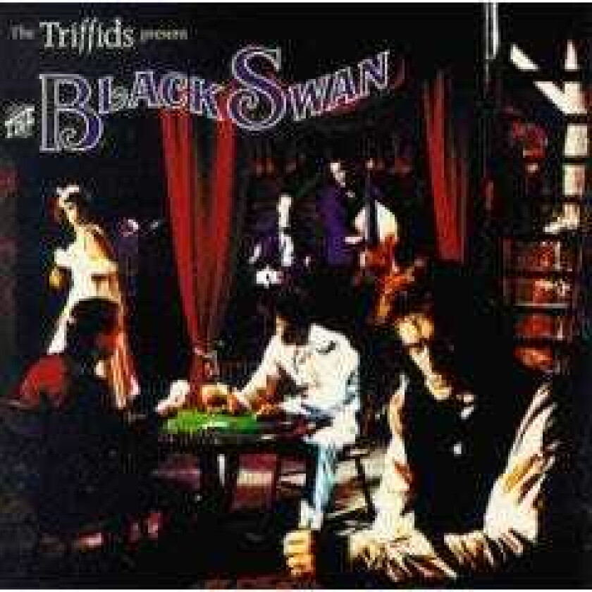 The Triffids Black Swan CD