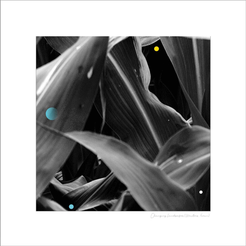 Arthur Kingdon Changing Landscapes LP/Vinyl