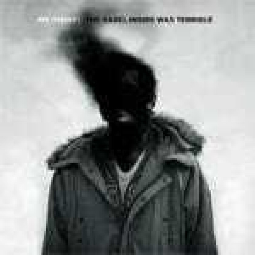 The Babel Inside Was Terrible CD
