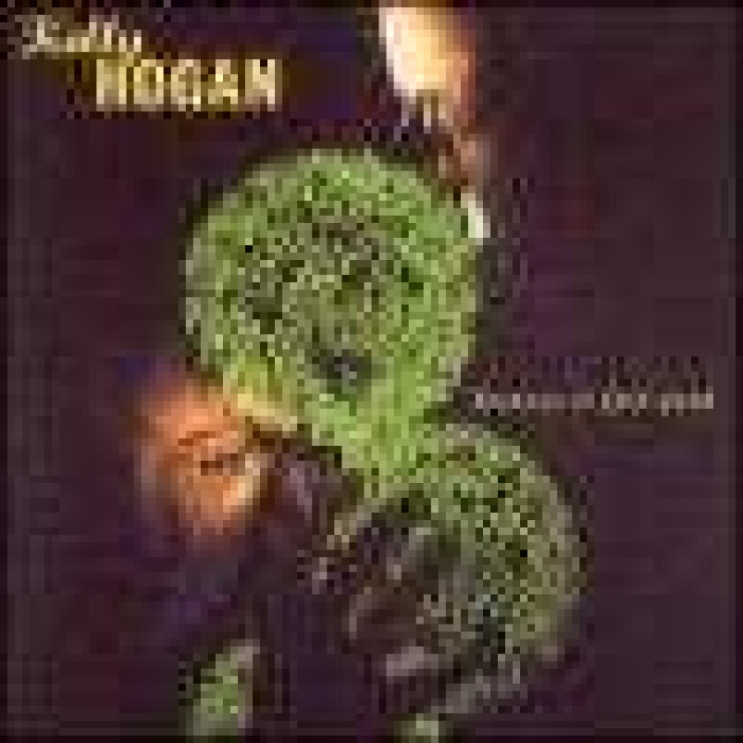 Kelly Hogan Because It Felt Good CD
