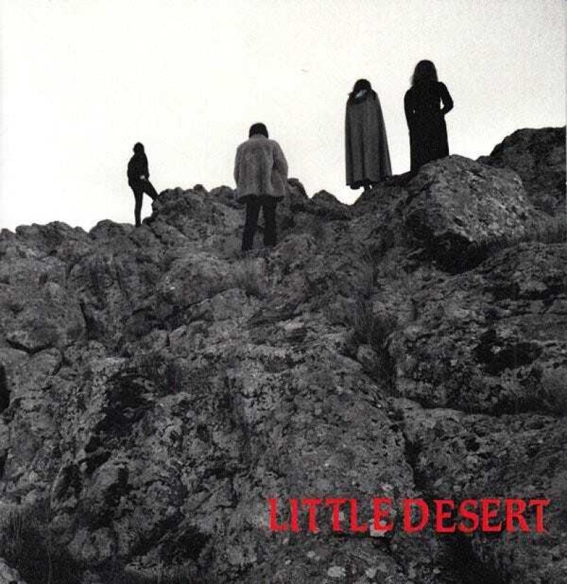Little Desert Ashes LP/Vinyl