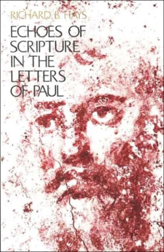 Echoes of Scripture in the Letters of Paul av Richard B. Hays