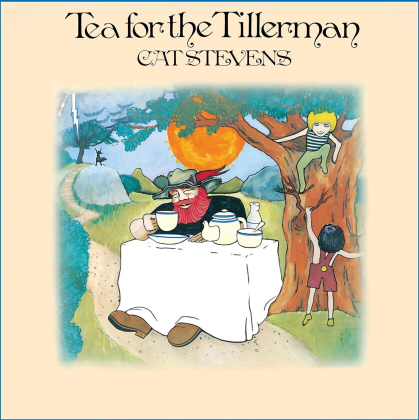 Cat Stevens Tea For The Tillerman LP/Vinyl