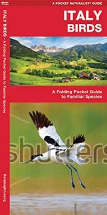 Italy Birds A Folding Pocket Guide to Familiar Species