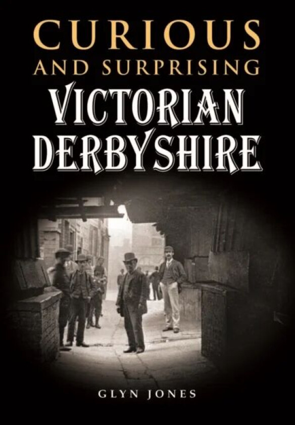 Curious and Surprising Victorian Derbyshire av Glyn Jones