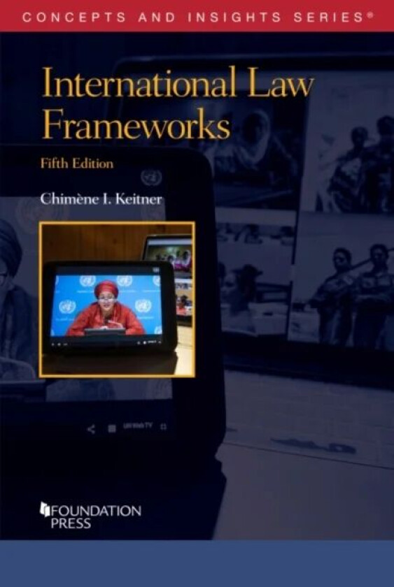 International Law Frameworks av Chimene I. Keitner