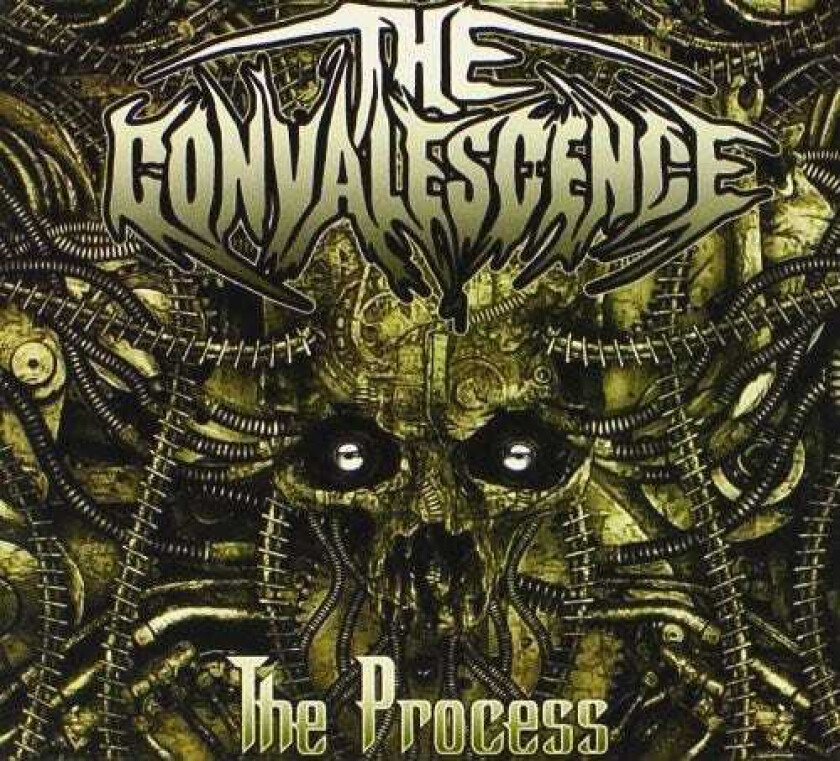 Convalescence The Process CD