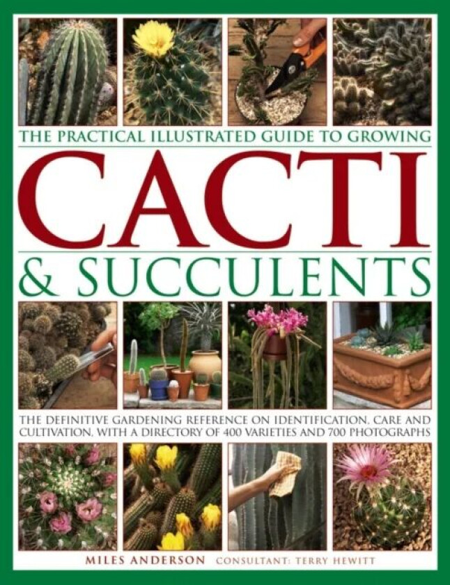 Practical Illustrated Guide to Growing Cacti & Succulents av Miles Anderson
