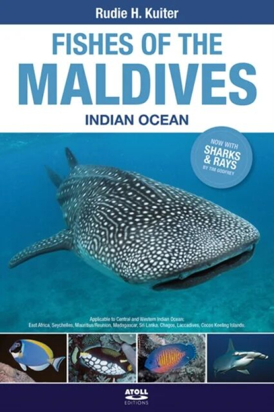 Fishes of the Maldives av Rudie H. Kuiter, Tim Godfrey