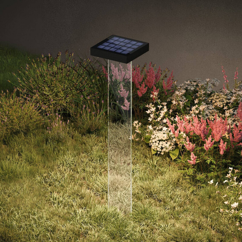 LED-solcellelampe Scotty, klar/antrasitt, 60 cm, IP65