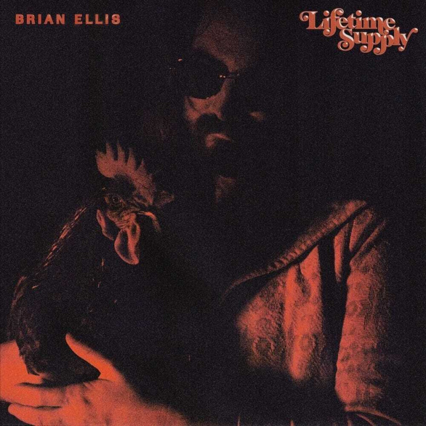 Brian Ellis Lifetime Supply LP/Vinyl