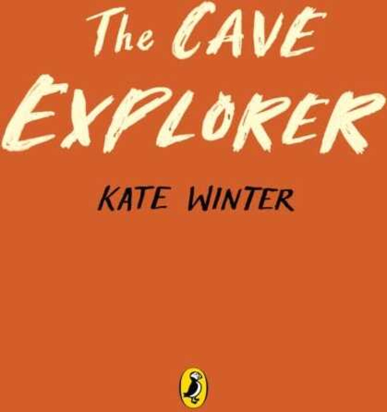 The Cave Explorer