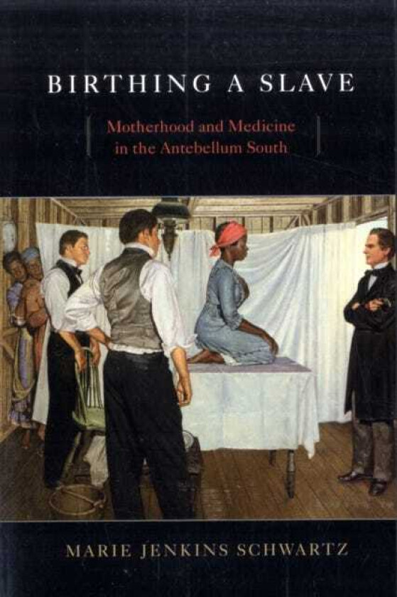 Birthing a Slave Motherhood and Medicine in the Antebellum South