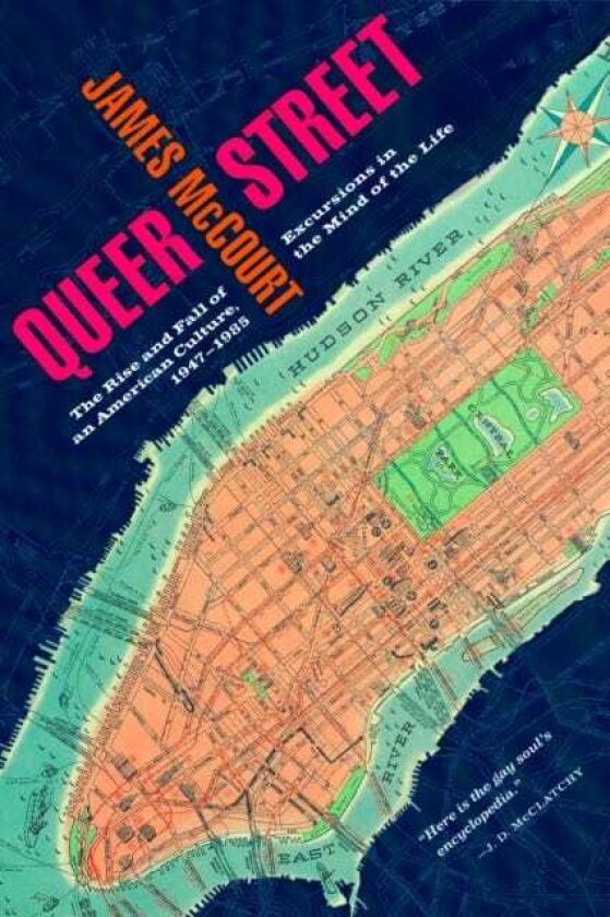 Queer Street Rise and Fall of an American Culture, 19471985