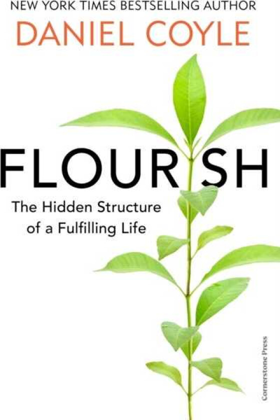 Flourish The Hidden Structure of a Fulfilling Life