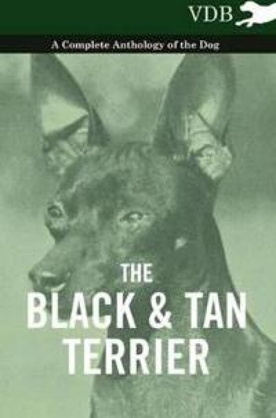 The Black And Tan Terrier - A Complete Anthology of the Dog