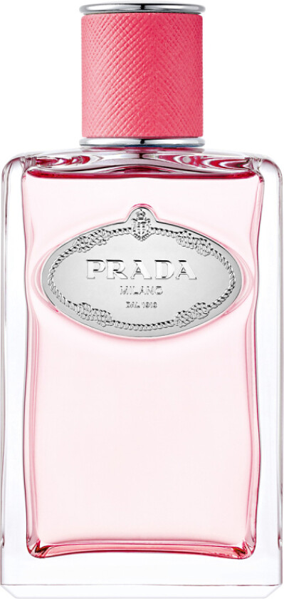 Infusion Rhubarbe EdP (100 ml)