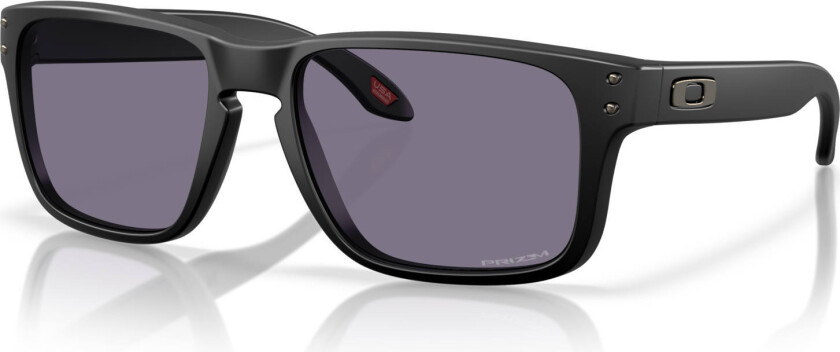 Holbrook S m/PRIZM Grey