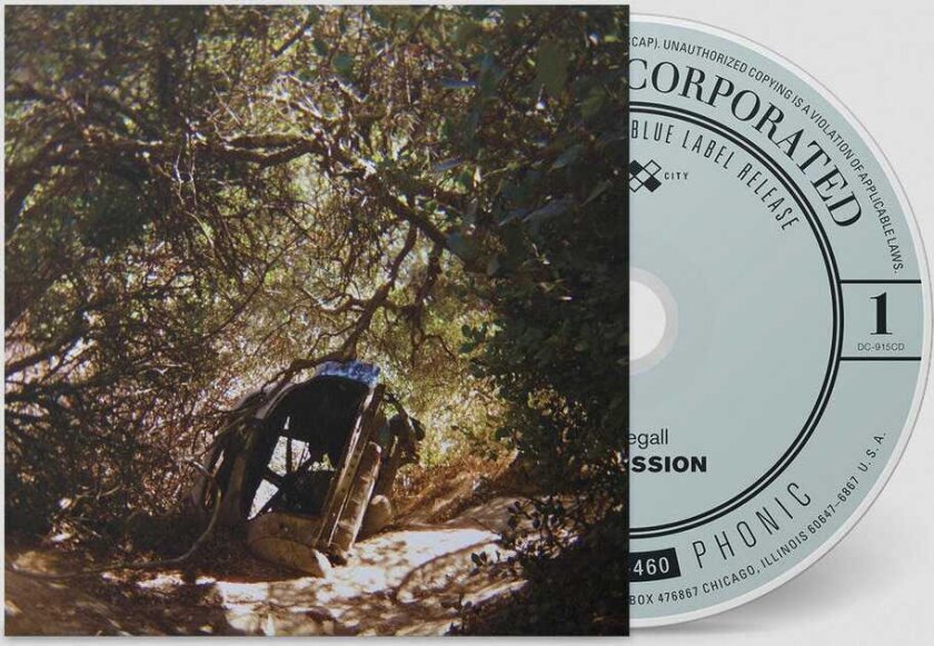 Ty Segall Possession CD