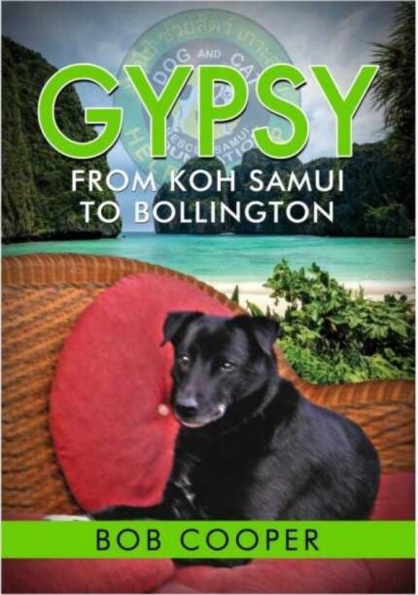 Gypsy From Koh Samui to Bollington