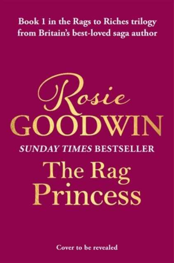 The Rag Princess  The first book in the brandnew Rags to Riches trilogy from Britain's bestloved saga author