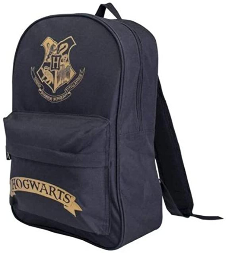 - Backpack (Black/Gold)