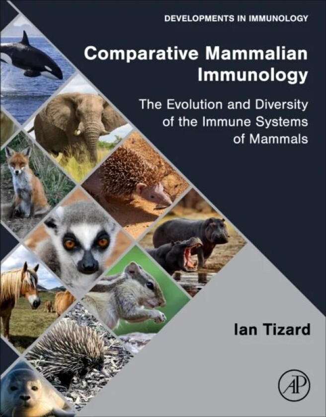 Comparative Mammalian Immunology av Ian R (Texas A &M University College Station Texas USA) Tizard