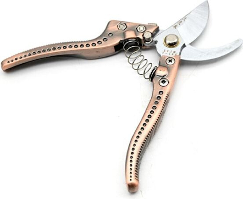 Profesjonelle hagesaks - Hageklippere - Hageklippere