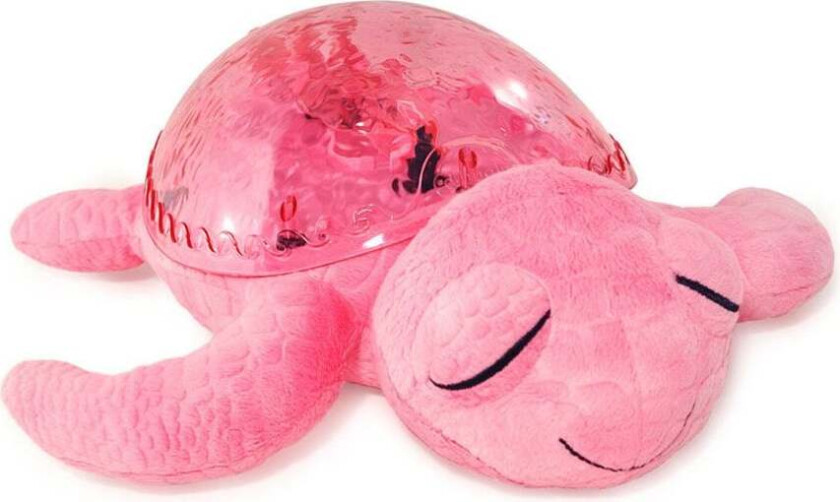 - Tranquil Turtle Pink (CB7423-PK)