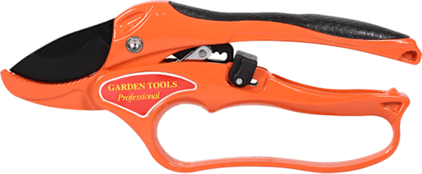 Frukttre Beskjæring Hageverktøy Bonsai Saks Hagesaks Hagesekatør Podning Appelsin