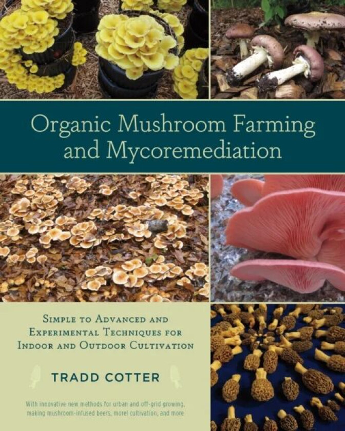 Organic Mushroom Farming and Mycoremediation av Tradd Cotter