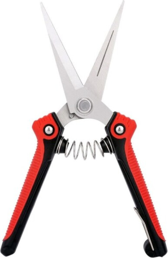 Profesjonelle hagesaks i rustfritt stål for planter