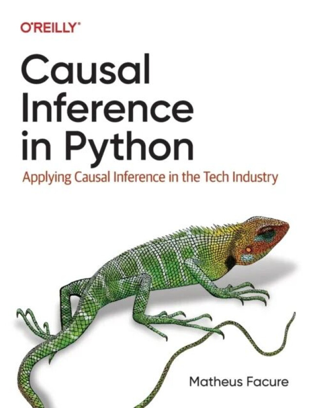 Causal Inference in Python av Matheus Facure