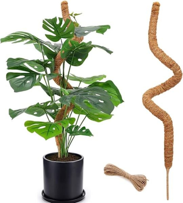 48 Tommers Mosstavle, Lange Mosstavler for Innendørs Klatreplanter, Mosstavle Støtte, Hage Trellis Plante Staver for Potteplanter, Pothos