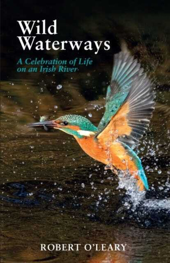 Wild Waterways A Celebration of Life on an Irish River
